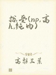 总受(np,高h,纯肉)