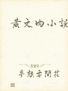 黄文肉小说封面