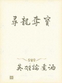 寻龙夺宝