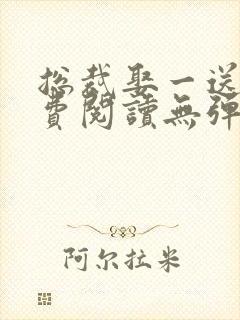 总裁娶一送一免费阅读无弹窗