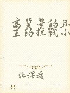 高质量的且多女主的抗战小说