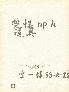 双性 np h 道具