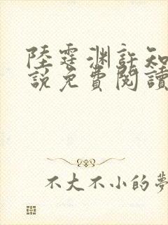 陆霆渊许知知小说免费阅读最新章节