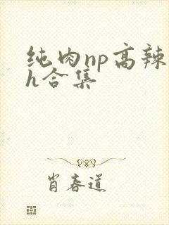 纯肉np高辣文h合集