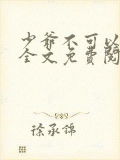 少爷不可以小说全文免费阅读无弹窗