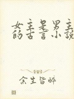 女主是男主外室的古言小说封面