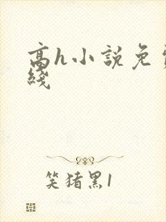 高h小说免费在线