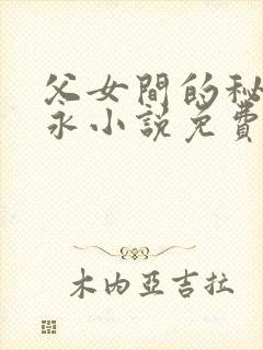 父女间的秘密赵永小说免费阅读封面