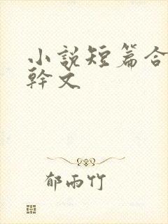 小说短篇合集高干文封面