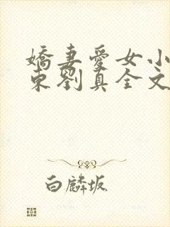 娇妻爱女小可于东刘真全文小说