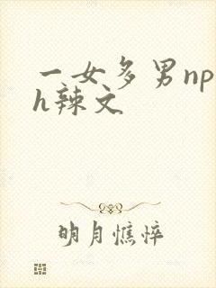 一女多男np高h辣文封面