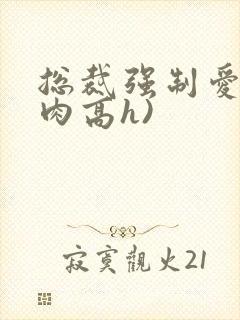 总裁强制爱(巨肉高h)