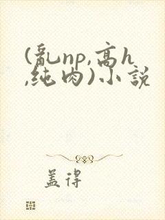 (乱np,高h,纯肉)小说