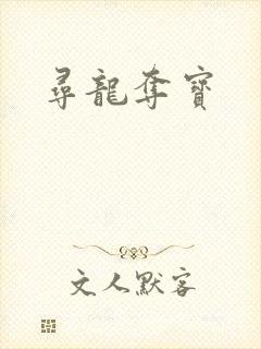 寻龙夺宝