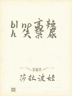 bl np高辣h 失禁尿
