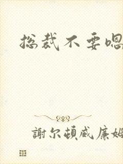 总裁不要嗯啊h封面