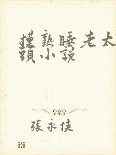 摸熟睡老太的奶头小说