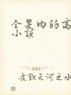 全是肉的高h文小说封面