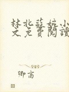 林北苏婉小说全文免费阅读完整版