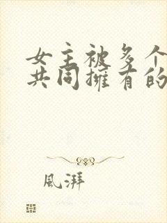 女主被多个男主共同拥有的小说,男主