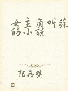 女主角叫苏静姝的小说