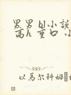 男男 bl小说 高h 重口 小说封面