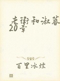 老卫和淑蓉1—20章封面