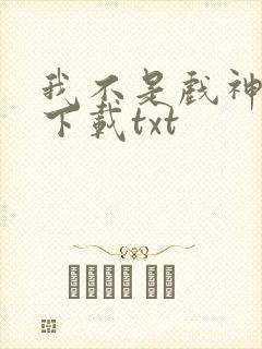 我不是戏神免费下载txt封面