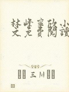 林峰宁欣小说全文免费阅读笔趣阁