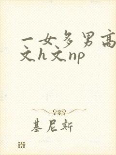 一女多男高辣h文h文np