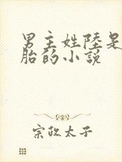 男主姓陆是双胞胎的小说