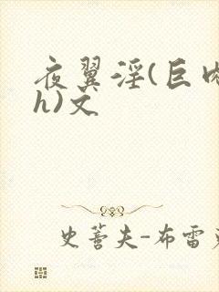 夜翼淫(巨肉高h)文