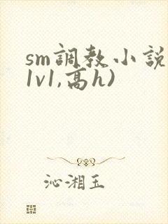 sm调教小说(1v1,高h)