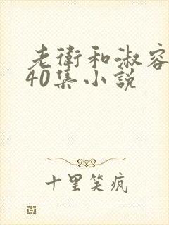 老卫和淑容1-40集小说