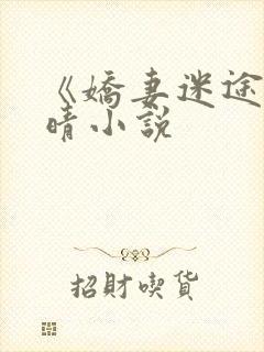 《娇妻迷途》苏晴小说封面