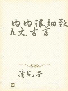 肉肉很细致的高h文古言