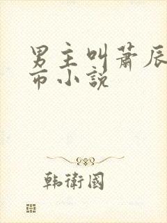 男主叫萧辰的都市小说