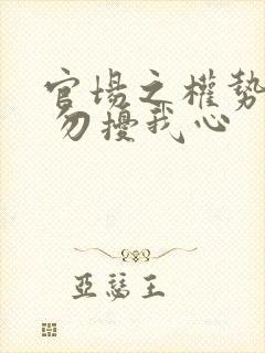 官场之权势巅峰 勿扰我心