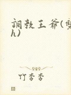 调教王爷(双性h)