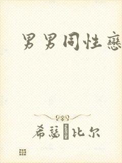 男男同性恋互操封面