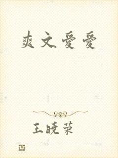 爽文爱爱封面