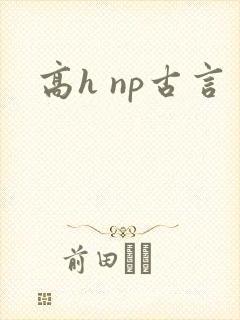 高h np古言封面