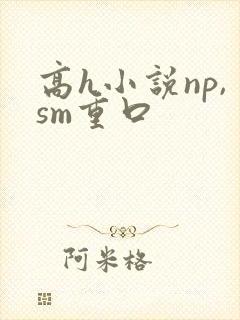 高h小说np,sm重口