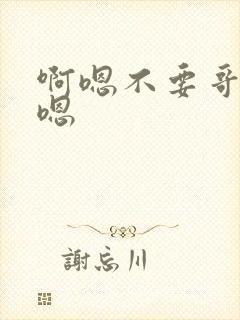 啊嗯不要哥哥啊嗯封面