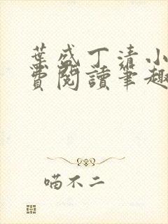 叶盛丁清小说免费阅读笔趣阁