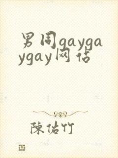 男同gaygaygay网站