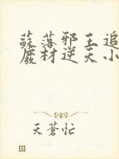 苏落邪王追妻:废材逆天小姐封面