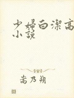 少妇白洁高义的小说