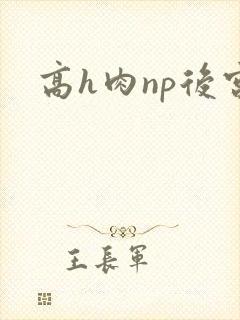 高h肉np后宫封面