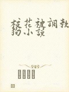 校花被调教成母狗小说封面